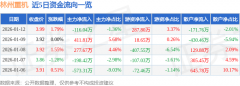 股票行情快报：林州沉机（002535）1月12日