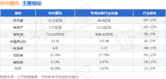 股票行情快报：林州沉机（002535）1月13日从力资