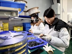 铜陵郊区经开区：沉点企业“马不停蹄”